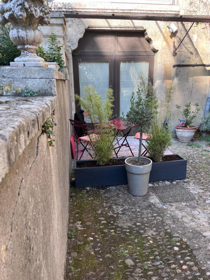 Salut Le Petit Gite Carcassone Exterior photo